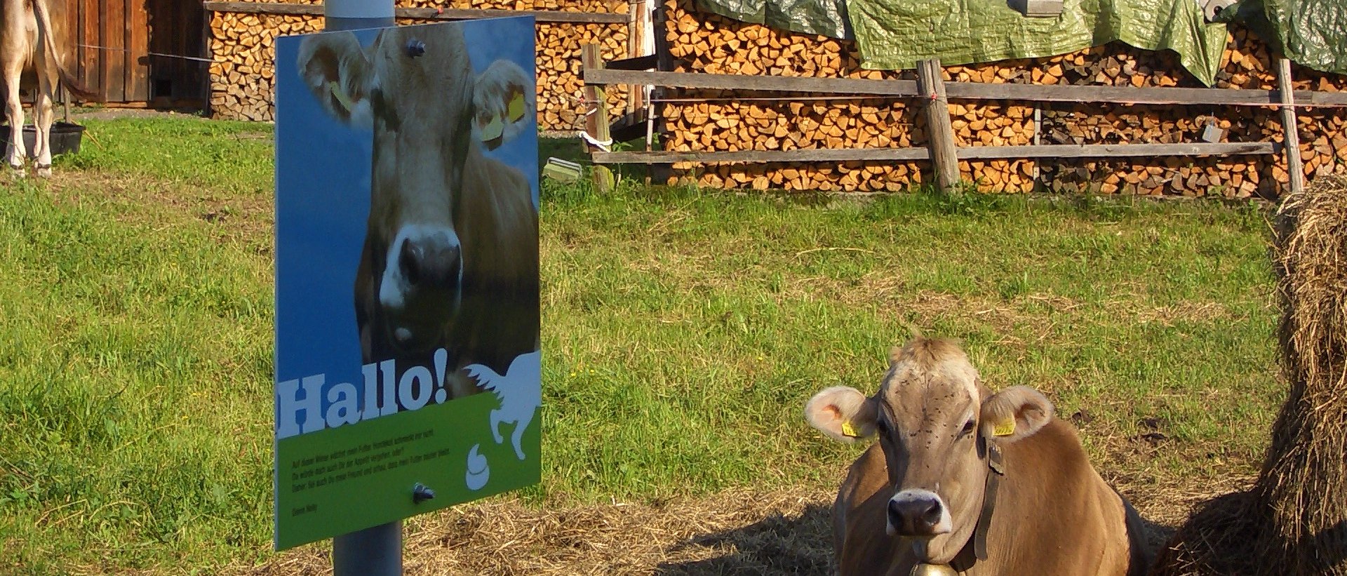 Landwirtschaftsförderung