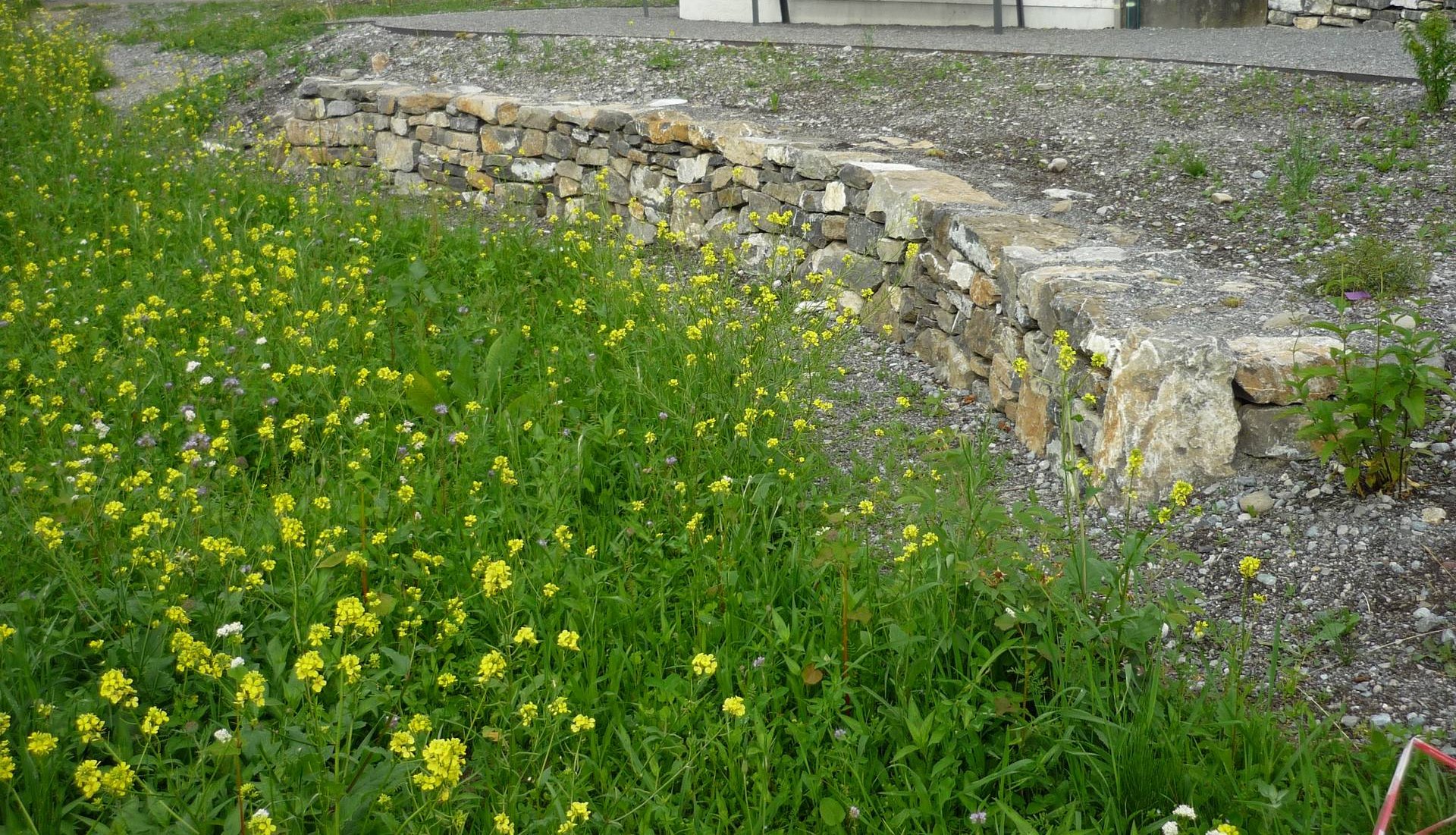 Schauplatz Obst- und Garten