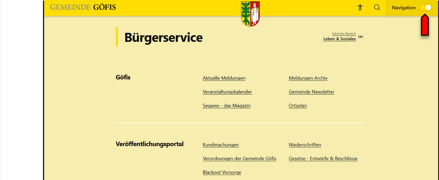Beispielbild für die Homepage mit Fokus auf Navigation