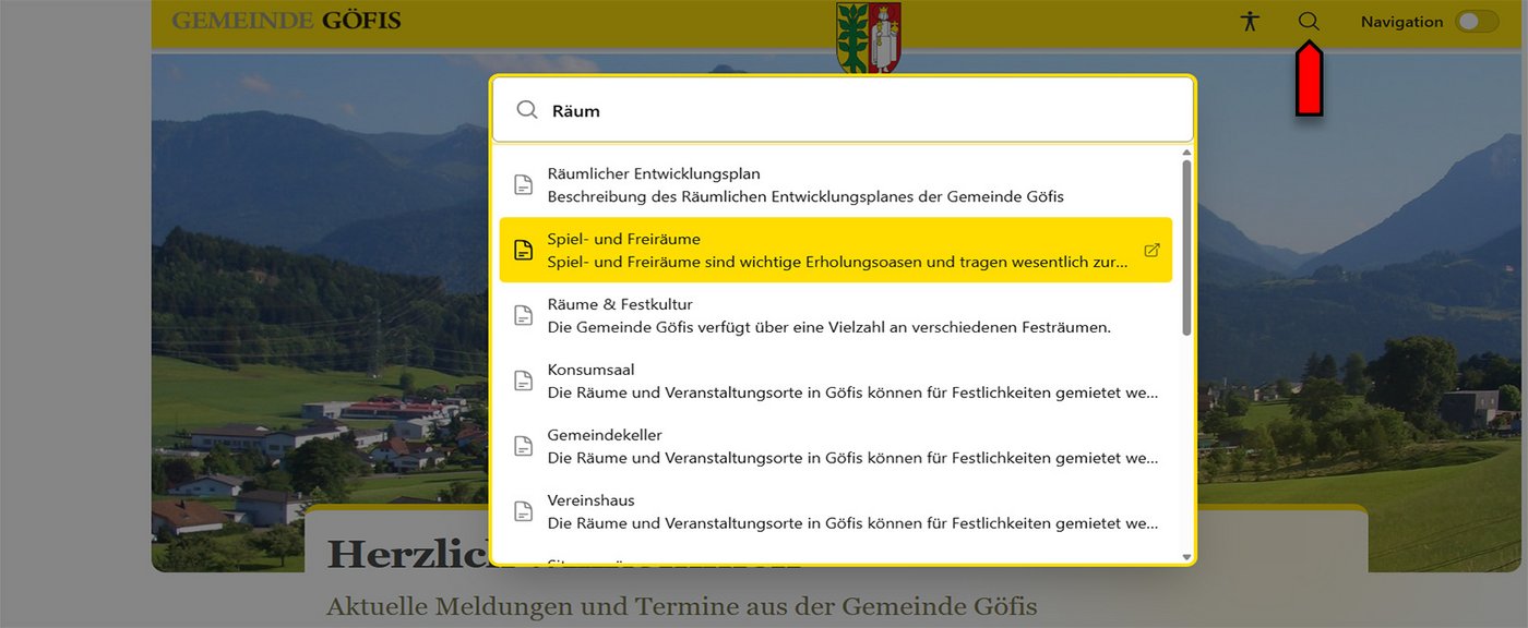 Beispielbild für die Homepage mit Fokus auf Suchfunktion