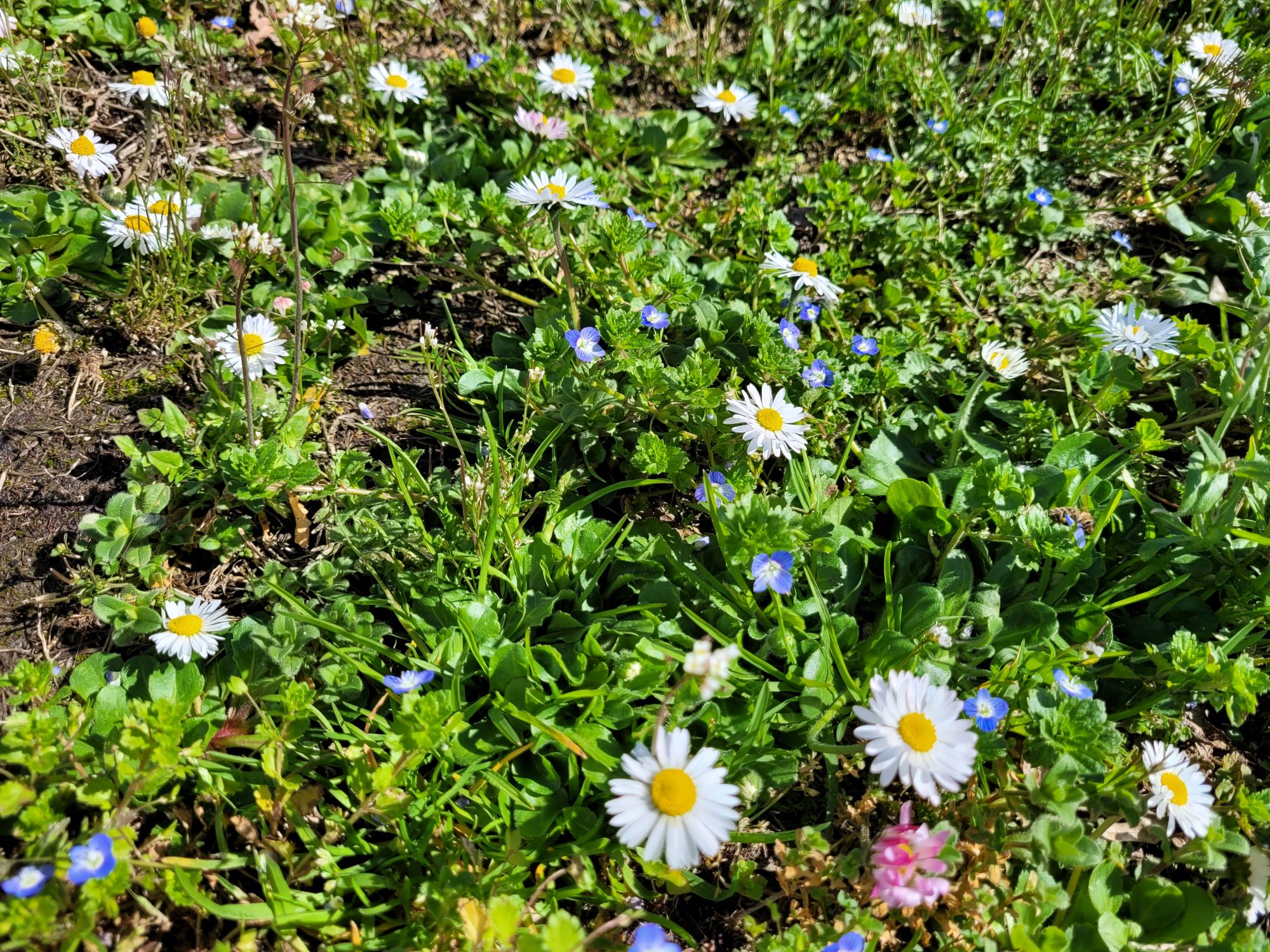 Meldung Meldung