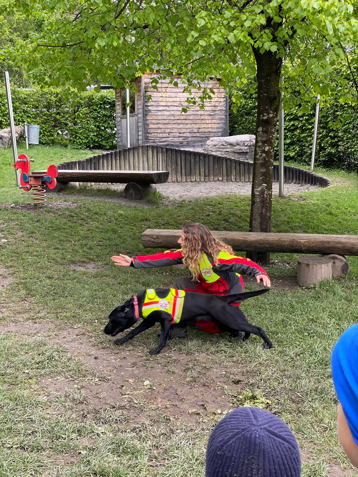 Meldung