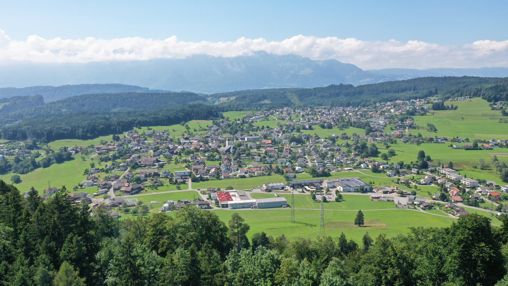 Meldung