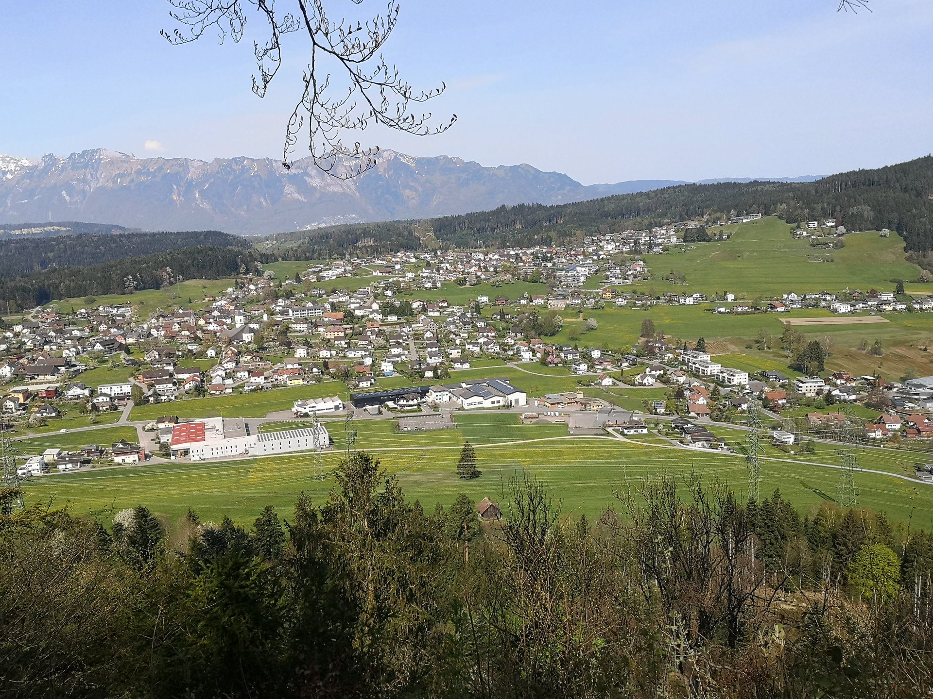 Meldung
