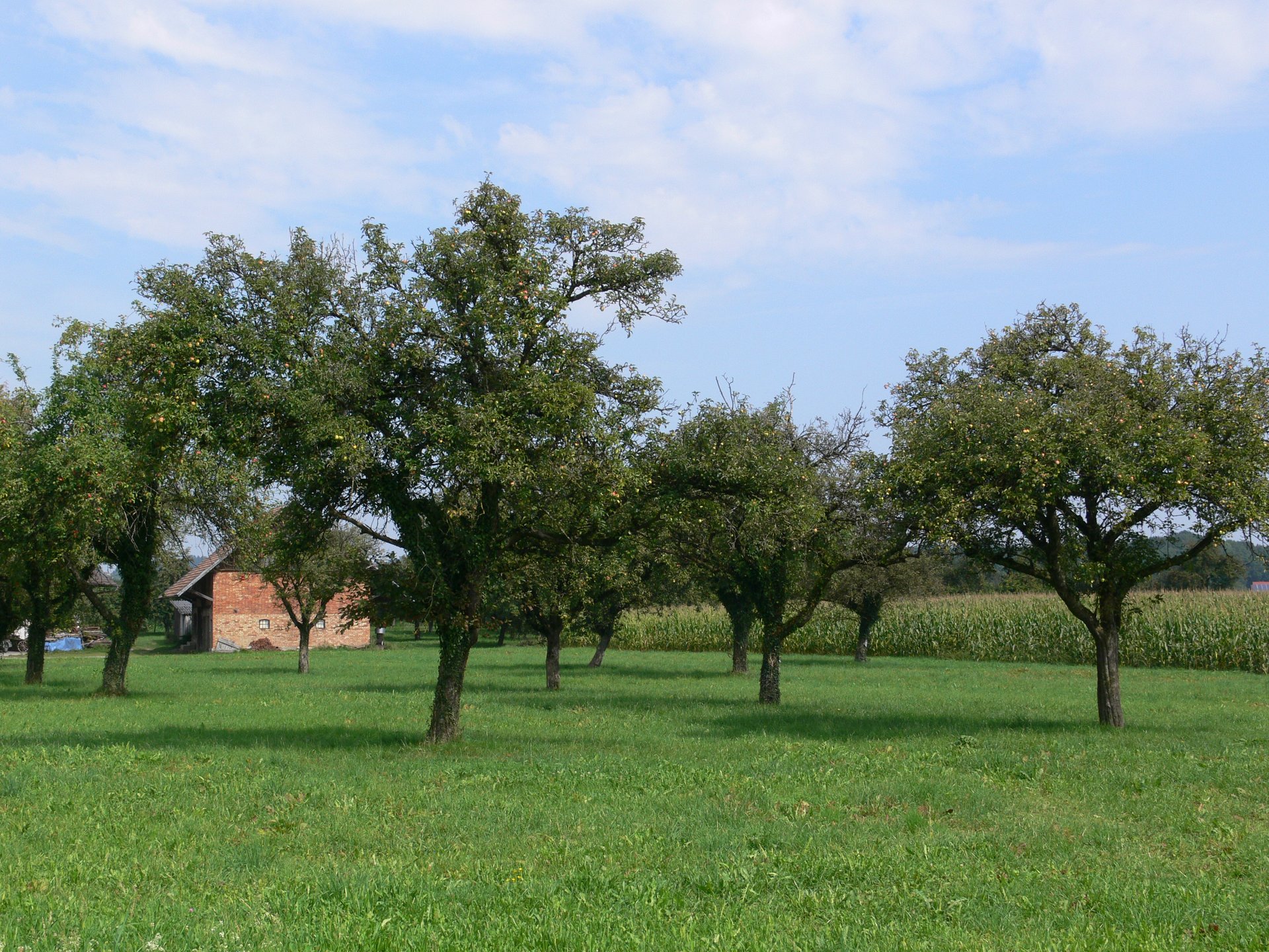 Meldung