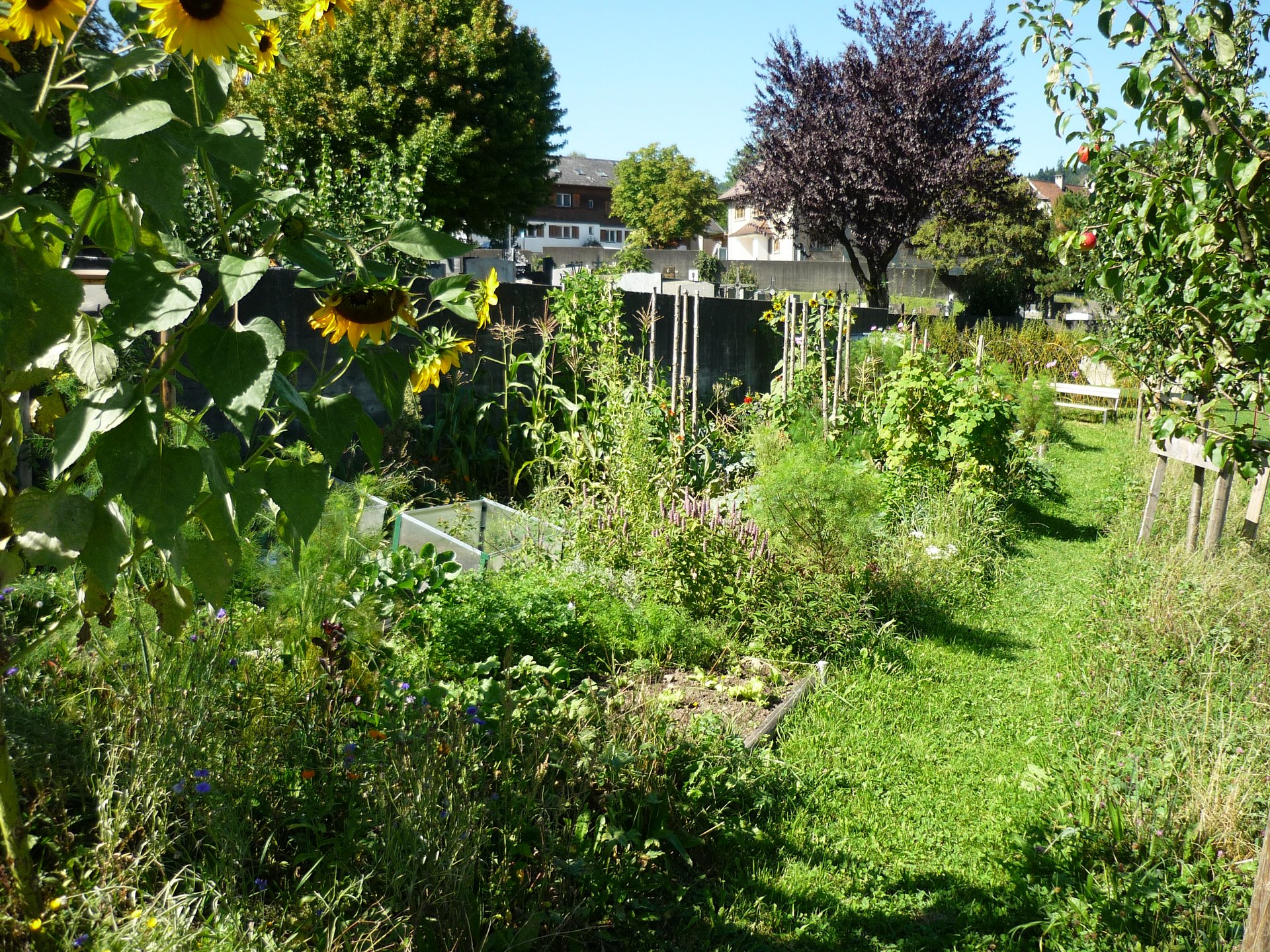 Meldung